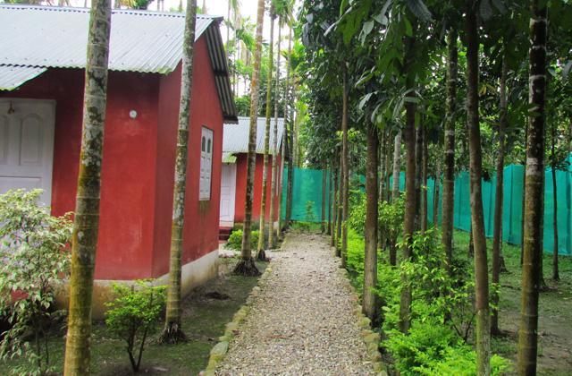 Rajabhat Khawa Resort Jayanti Hills Jungle Camp מראה חיצוני תמונה