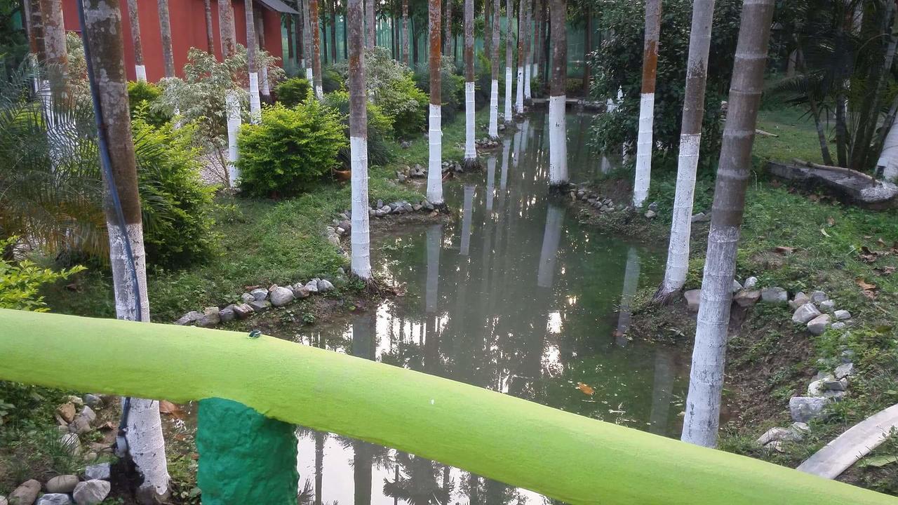Rajabhat Khawa Resort Jayanti Hills Jungle Camp מראה חיצוני תמונה